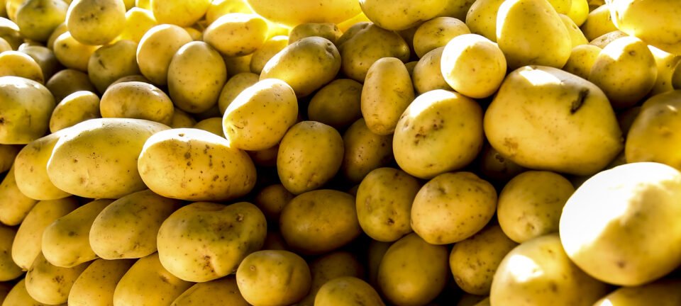 Alta nos alimentos puxa IPC-S e custo de vida já acumula 4,61% em 12 meses, aponta FGV 2 ocrente 1780926598