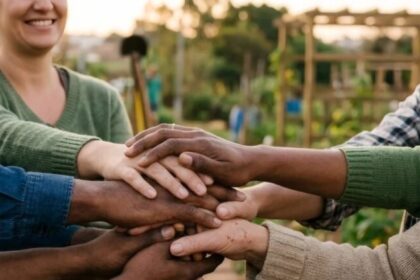 Crédito cooperativo impulsiona 130 empreendedoras e transforma histórias de superação no Brasil 20 ocrente 1781049851