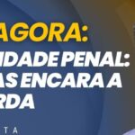 CCJ da Câmara aprova redução da maioridade penal para 16 anos e tema segue para comissão especial 5 ocrente 1781119171