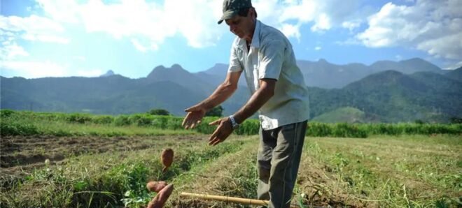 Super El Niño desafia safra brasileira e pressiona custos urbanos 2 ocrente 1781906657