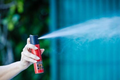 Senado aprova venda de spray de pimenta para mulheres se defenderem 6 ocrente 1782895768