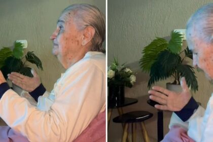 Vídeo de idosa de 89 anos com Alzheimer adorando a Deus comove redes sociais 10 ocrente 1783093752