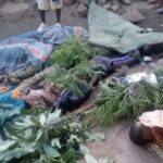 Relatório aponta mais de 28 mil cristãos mortos na Nigéria entre 2019 e 2025 5 ocrente 1783335859