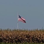 Agro do Centro-Oeste e Norte vê Estados Unidos como parceiro mais confiável que a China, aponta FGV 5 ocrente 1783446582