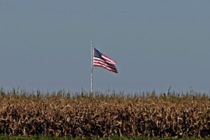 Agro do Centro-Oeste e Norte vê Estados Unidos como parceiro mais confiável que a China, aponta FGV 12 ocrente 1783446582