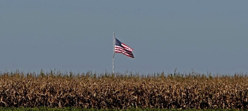 Agro do Centro-Oeste e Norte vê Estados Unidos como parceiro mais confiável que a China, aponta FGV 2 ocrente 1783446582
