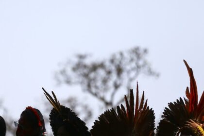 Relatório do Senado expõe falhas do governo Lula na ajuda aos Yanomami 8 ocrente 1783543781