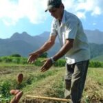 Produtores rurais do Centro-Oeste e Norte rejeitam políticas de esquerda, indica FGV 4 ocrente 1783558158