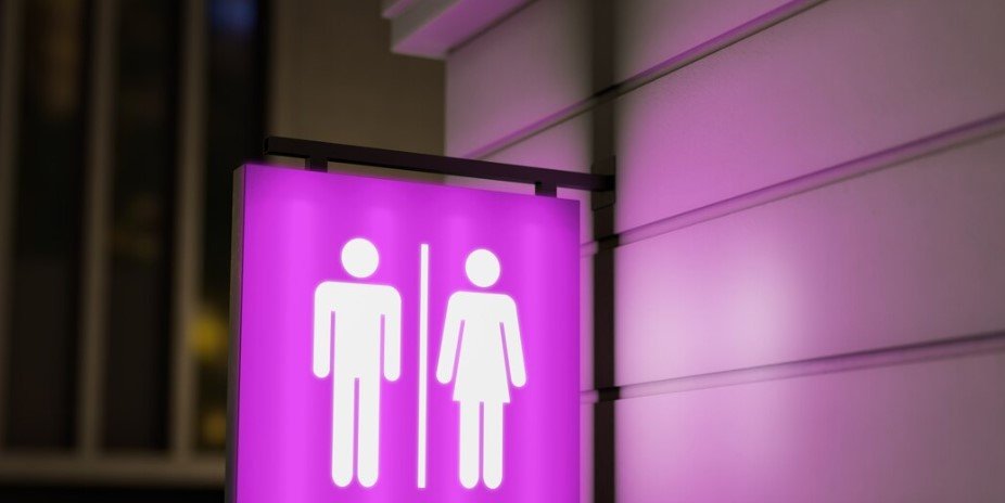 Pará sanciona lei que autoriza templos e escolas religiosas a separar banheiros por sexo biológico 2 ocrente 1784221741
