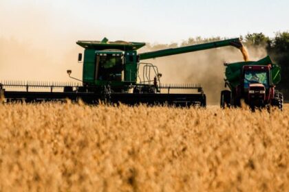 Queda de 1% na agropecuária freia avanço da prévia do PIB em maio, aponta BC 12 ocrente 1784306343