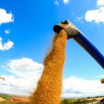 Motta viabiliza MP para refinanciar dívidas rurais e afasta Lula de confronto com o Agro 5 ocrente 1784560192