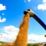 Renegociação de dívidas rurais via MP aproxima governo Lula do agronegócio às vésperas de 2026 5 ocrente 1784576348