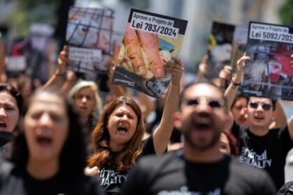 Lula sanciona lei que proíbe produção e venda de foie gras no Brasil 8 ocrente 1784946256