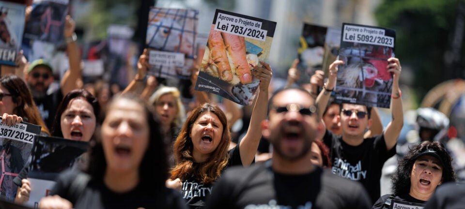 Lula sanciona lei que proíbe produção e venda de foie gras no Brasil 2 ocrente 1784946256