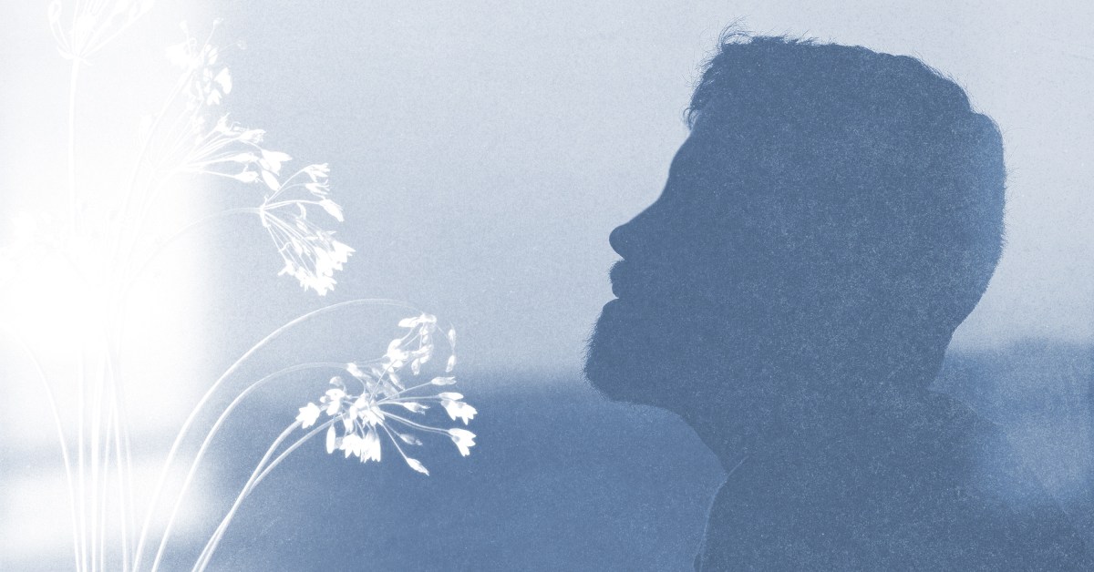 Estudo Revela Como Homens Decidem Sobre a Vida em Casos de Gravidez Não Planejada 20 how men choose life research