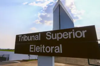 TSE determina retirada de publicações de seis ministérios do governo Lula 5 08 10 2020 tse 2.jpeg