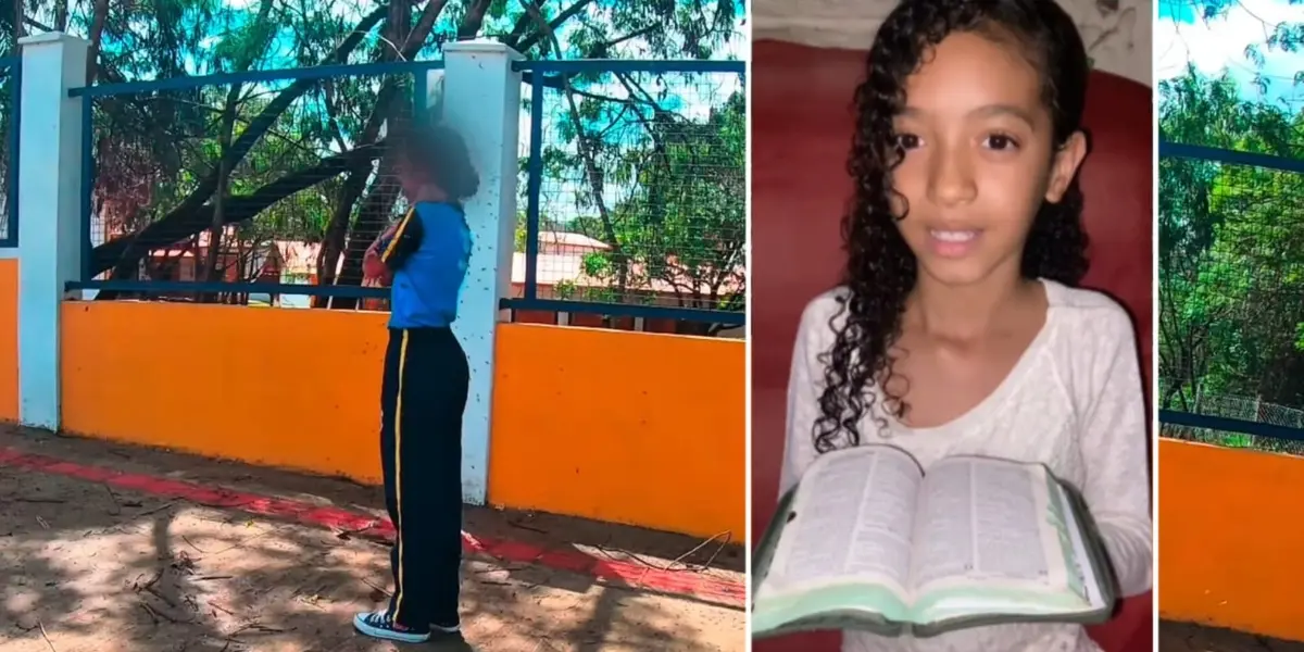 Menina de 12 anos é resgatada de ataque de abelhas por motoboy em MG 1 3293870293 safira emanuele