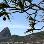 O Desafio da Malandragem no Rio de Janeiro: Entre Malandros e Otários 3 IMAGE 2025 09 01 170036.jpg