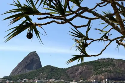 O Desafio da Malandragem no Rio de Janeiro: Entre Malandros e Otários 1 IMAGE 2025 09 01 170036.jpg