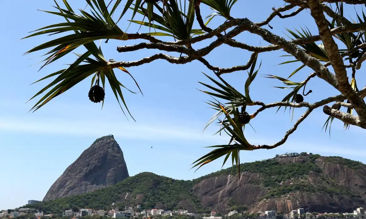 O Desafio da Malandragem no Rio de Janeiro: Entre Malandros e Otários 1 IMAGE 2025 09 01 170036.jpg