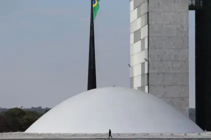 O Brasil precisa de uma gestão eficiente para enfrentar suas crises 5 pzzb2009 2.jpg