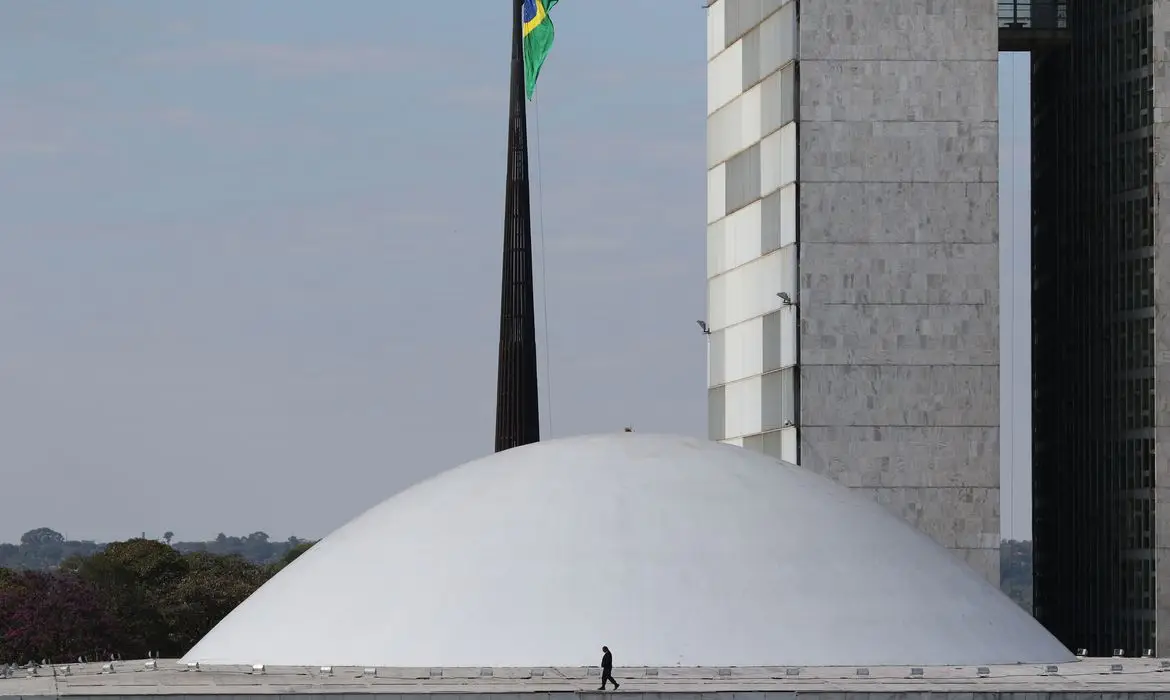 O Brasil precisa de uma gestão eficiente para enfrentar suas crises 1 pzzb2009 2.jpg