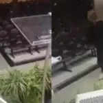 Mulher de 47 anos invade igreja em MG, faz disparos e é detida pela polícia 3 3329918003 mulher