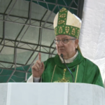 Bispo de Formosa clama a Nossa Senhora por libertação do Brasil do comunismo 3 bispo pede que nossa senhora livre o brasil do comunismo 910x568.png