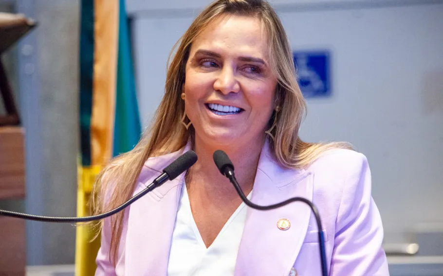 Celina Leão defende equilíbrio entre os Poderes em apoio a Flávio Bolsonaro 1 df celina leao