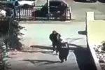 Ataque a tiros em funeral na Jordânia resulta em sete mortes e dezenas de feridos 5 image 10