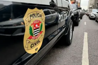 Polícia Civil de SP realiza operação e prende três por fraudes em plataformas digitais 8 policia civil sp santos 910x568.jpeg